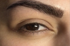 BoldBrow Example