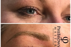 PhiBrows.1