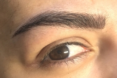 PhiBrowsSample1