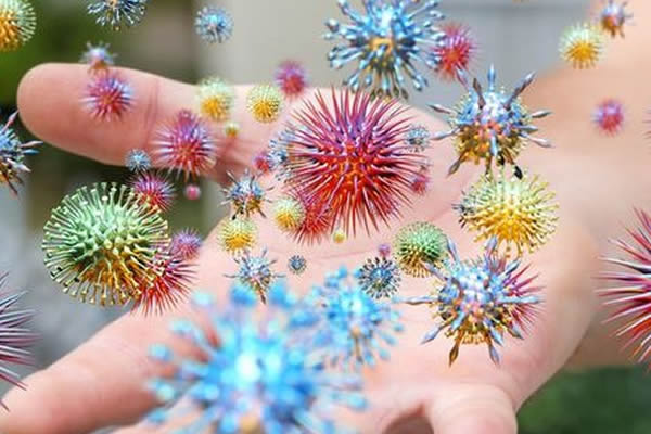 Blood Borne Pathogens and Infection Control