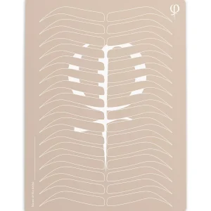 Latex Outlined Microblading