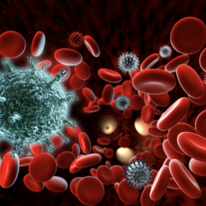 Blood Borne Pathogens and Infection Control